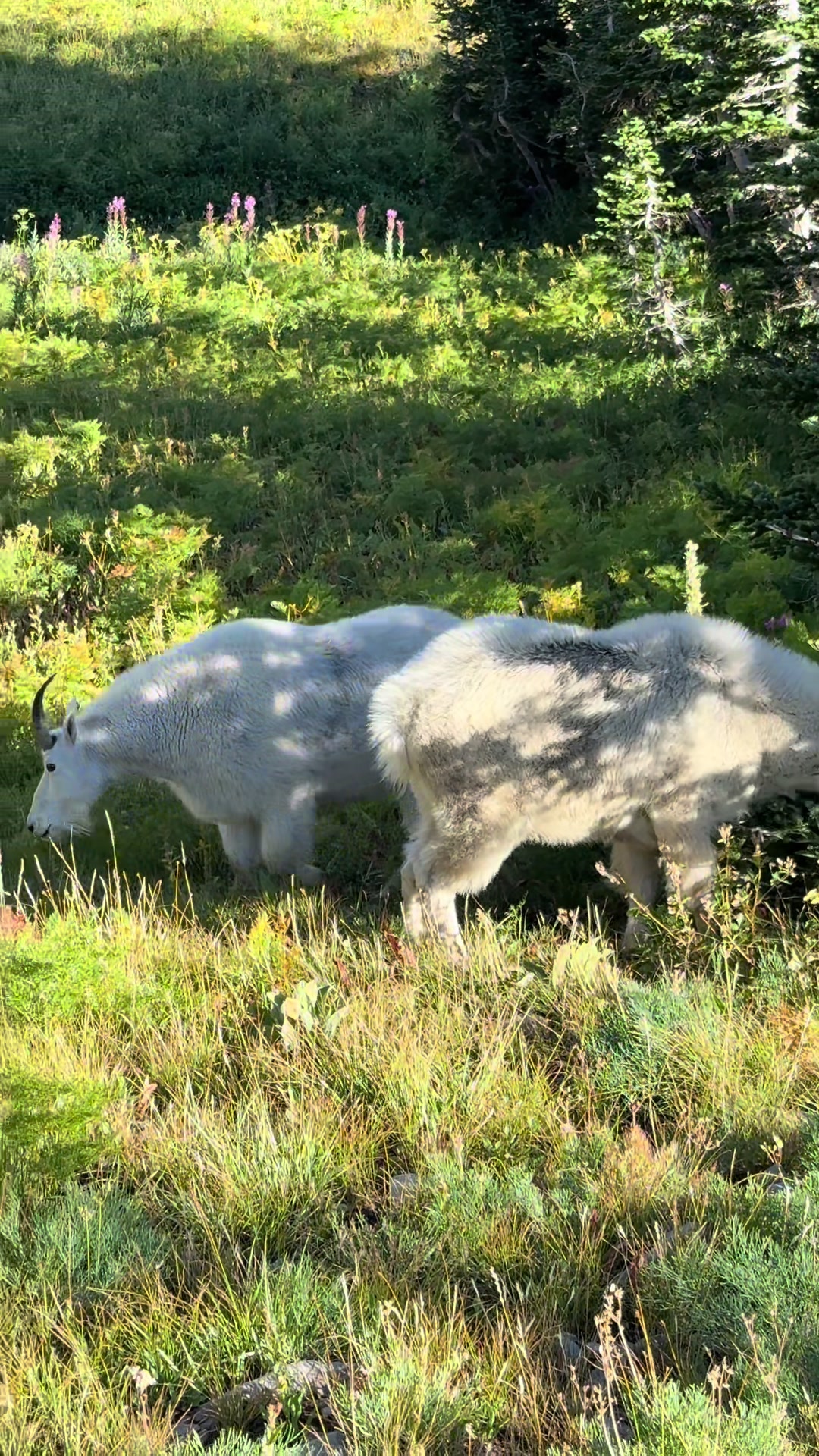 @kateandkyletravel
