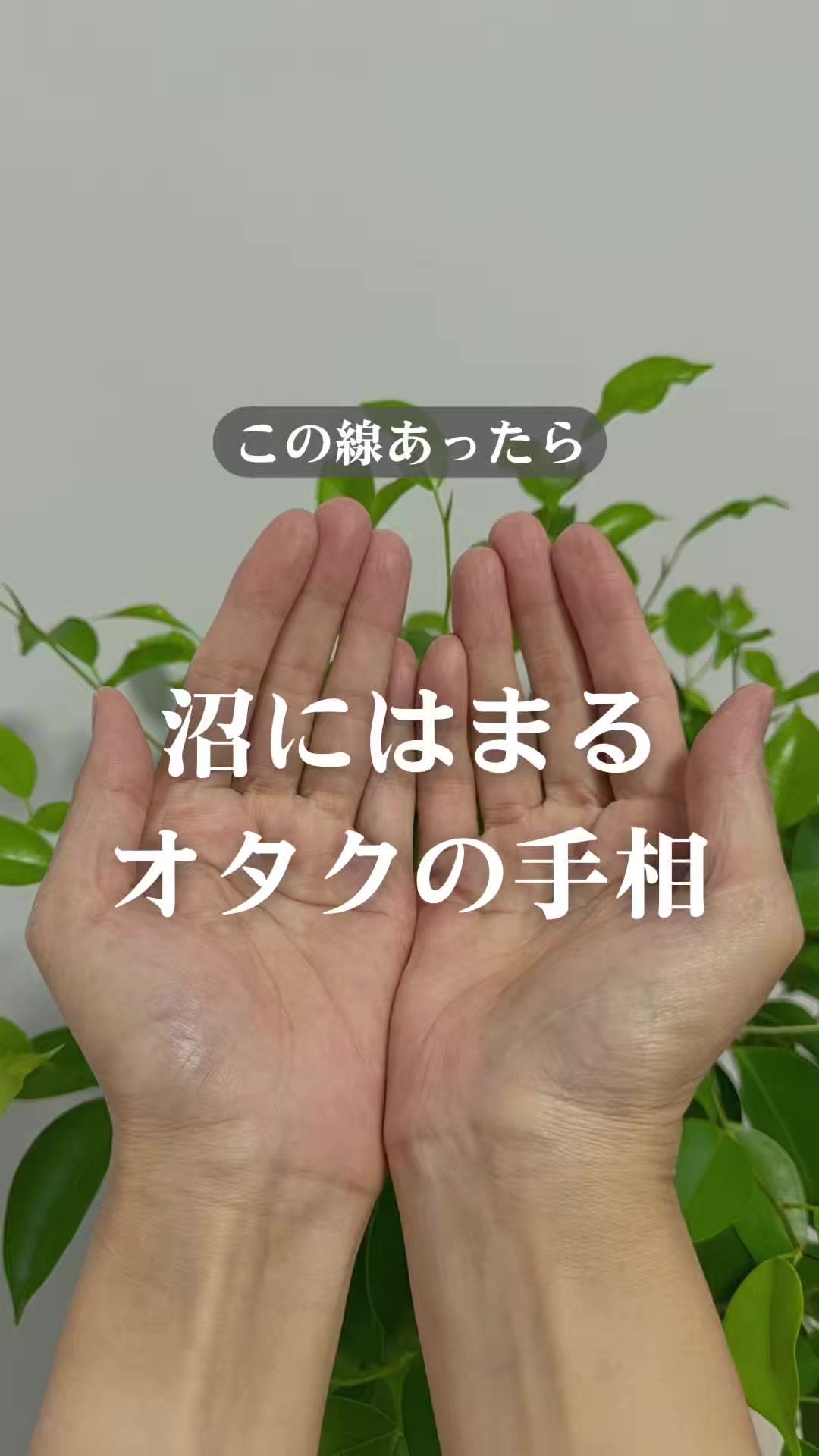 @shizue_tesou