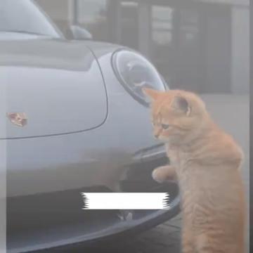 @Funny Videoss