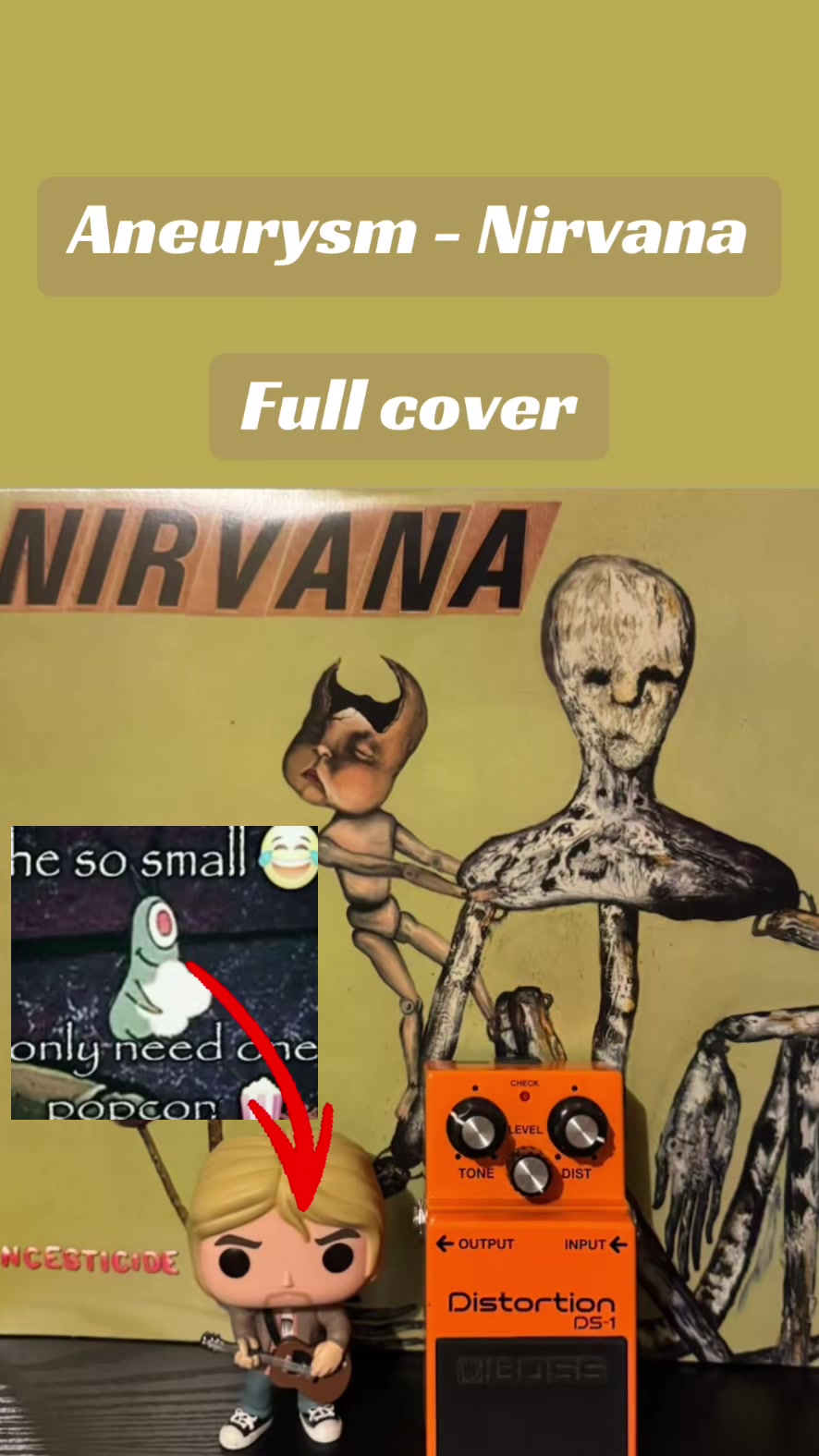 @twin_reverb_