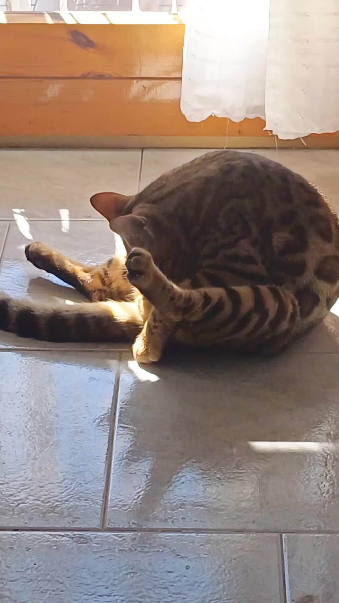 @Rio.supercat