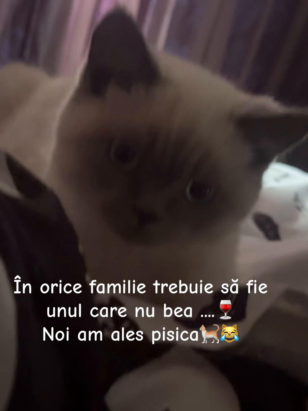 @Katalina.