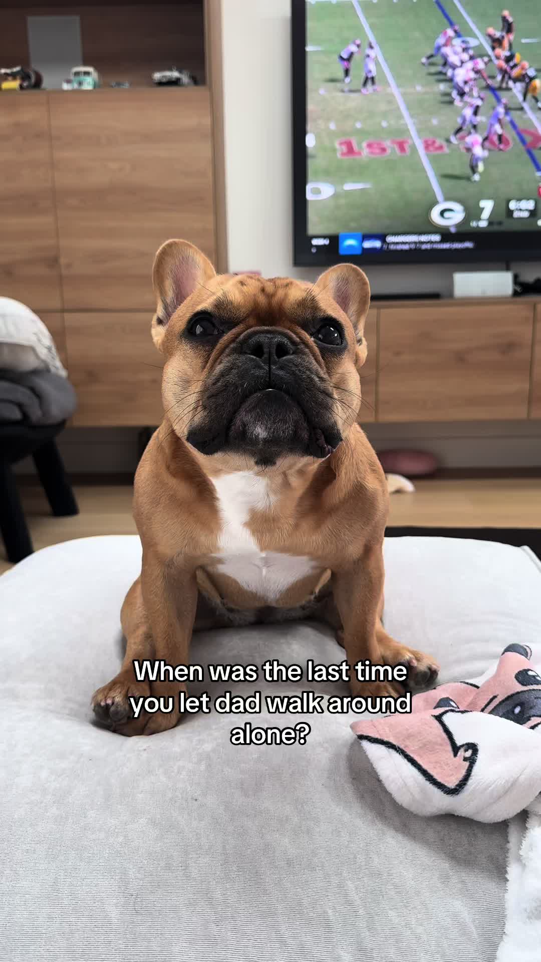 @Charlie Bear