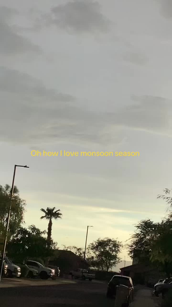 @🦢🫧༺𝓑𝓻𝓪𝓷𝓭𝓸𝓷𓆉༺🫧🦢