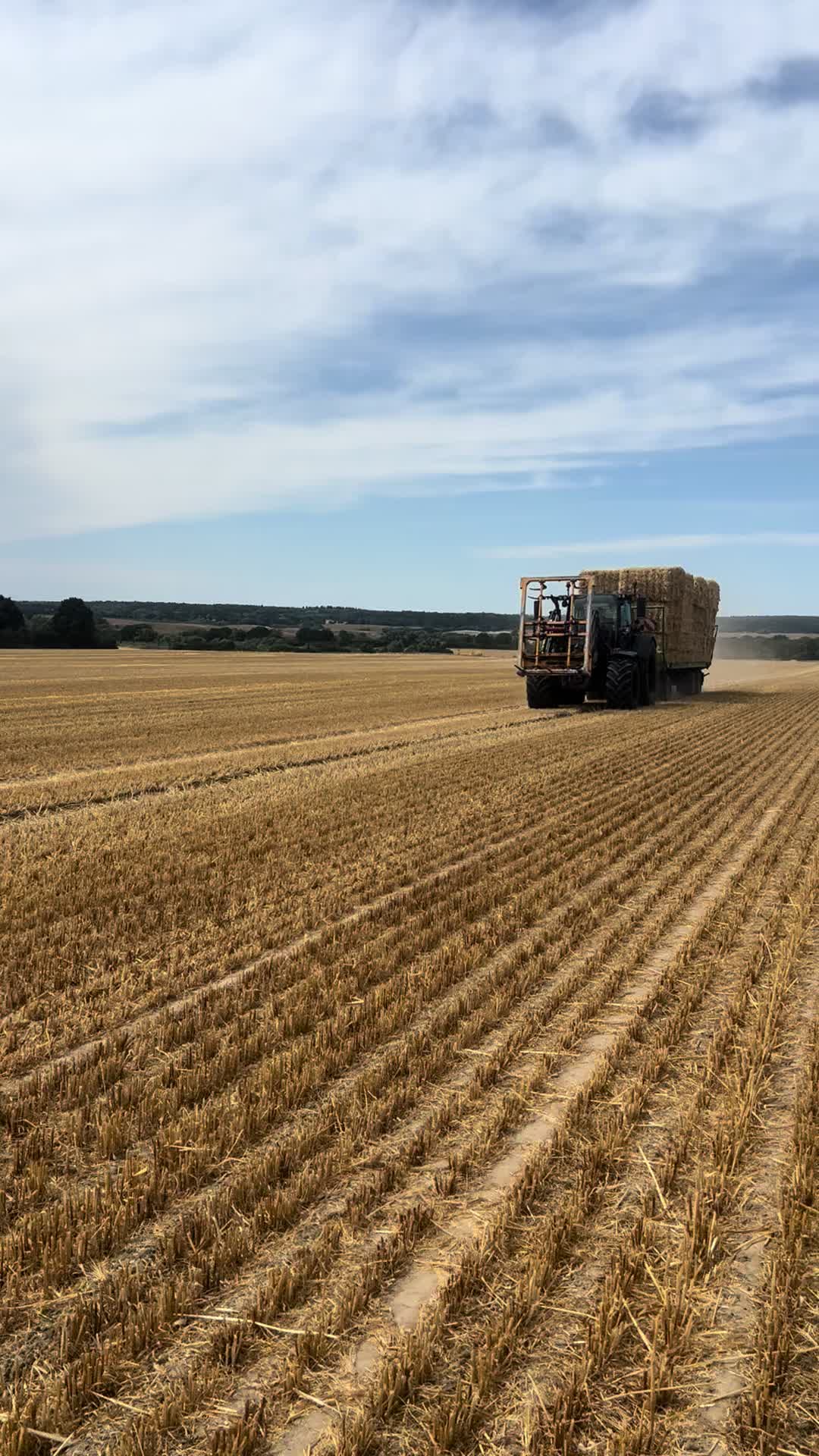 @Bruno🌾🌾