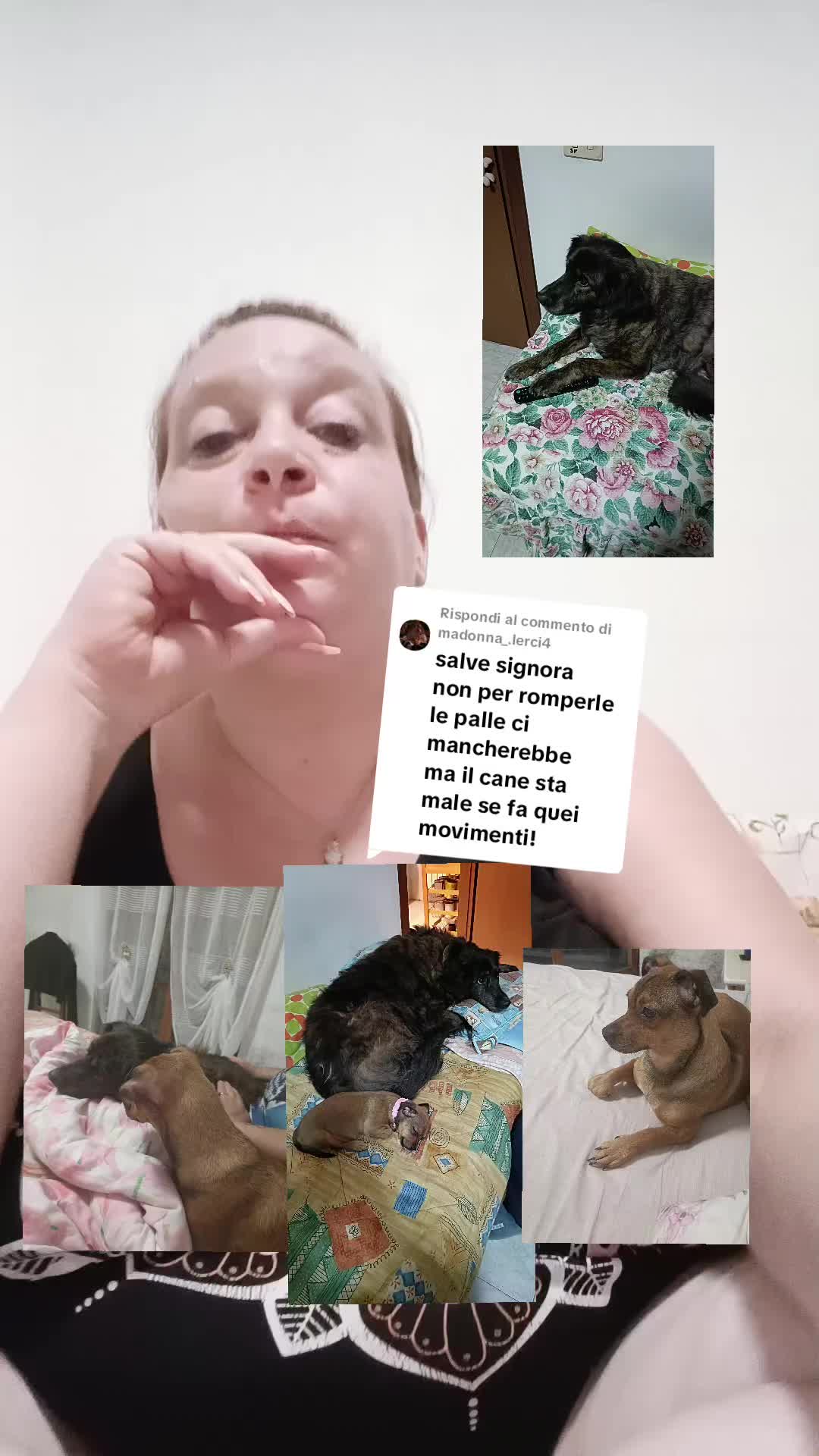 @🦋🐞🌸Zia.Lella🐞🦋🌸