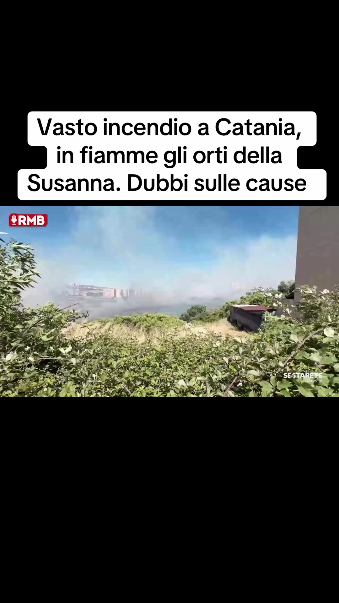@Edoardo Picone | Giornalista