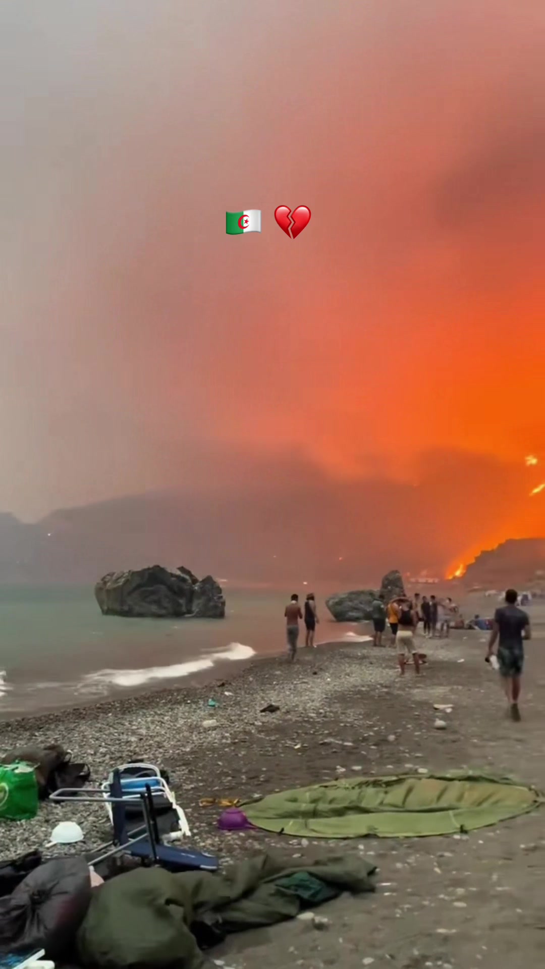 @🇩🇿