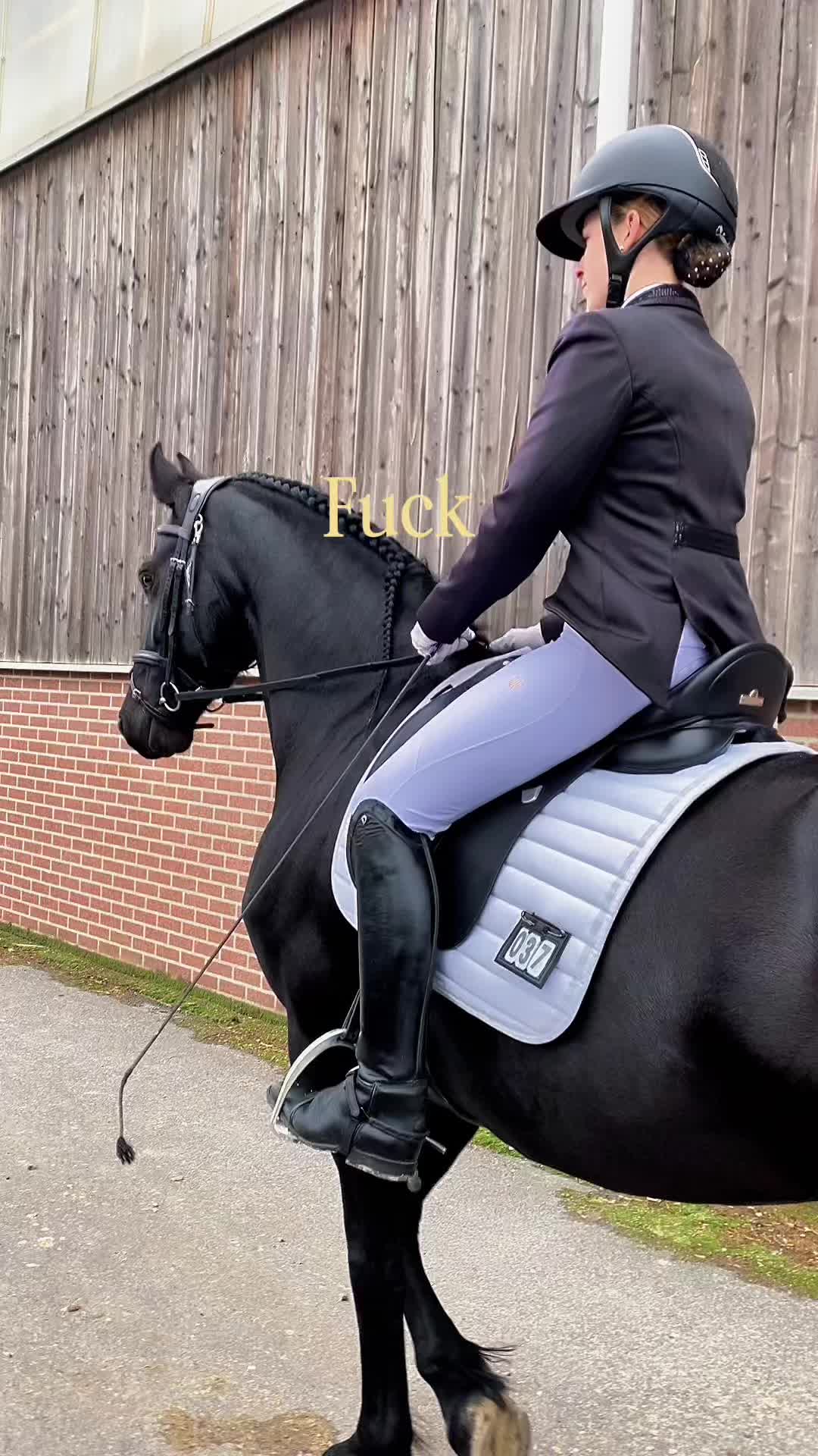 @Phoebe Tack Dressage
