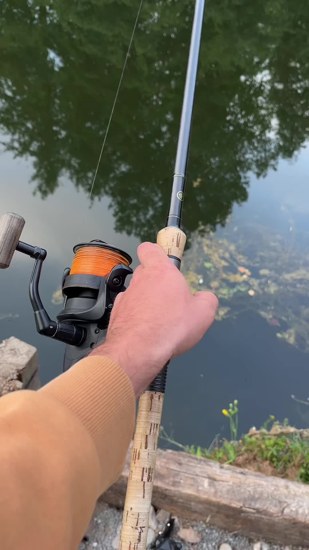 @Carpefishing80