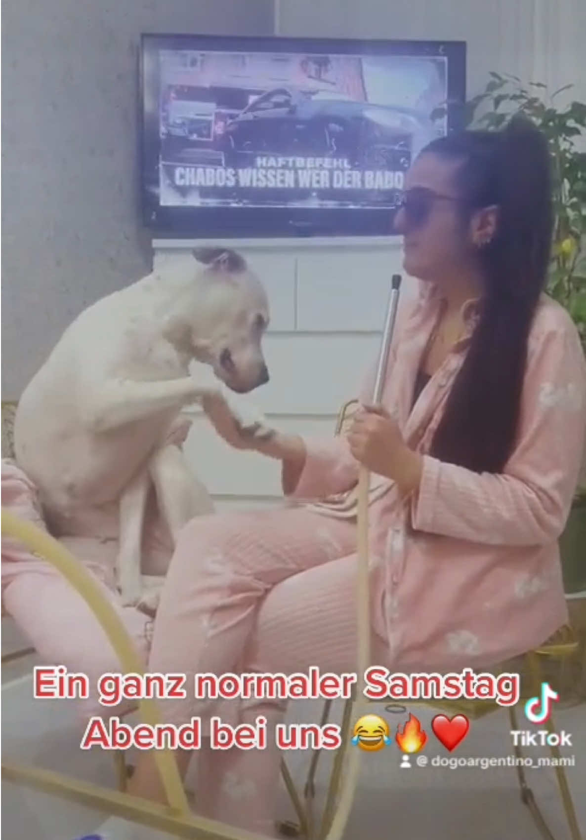 @Dogoargentino_mami