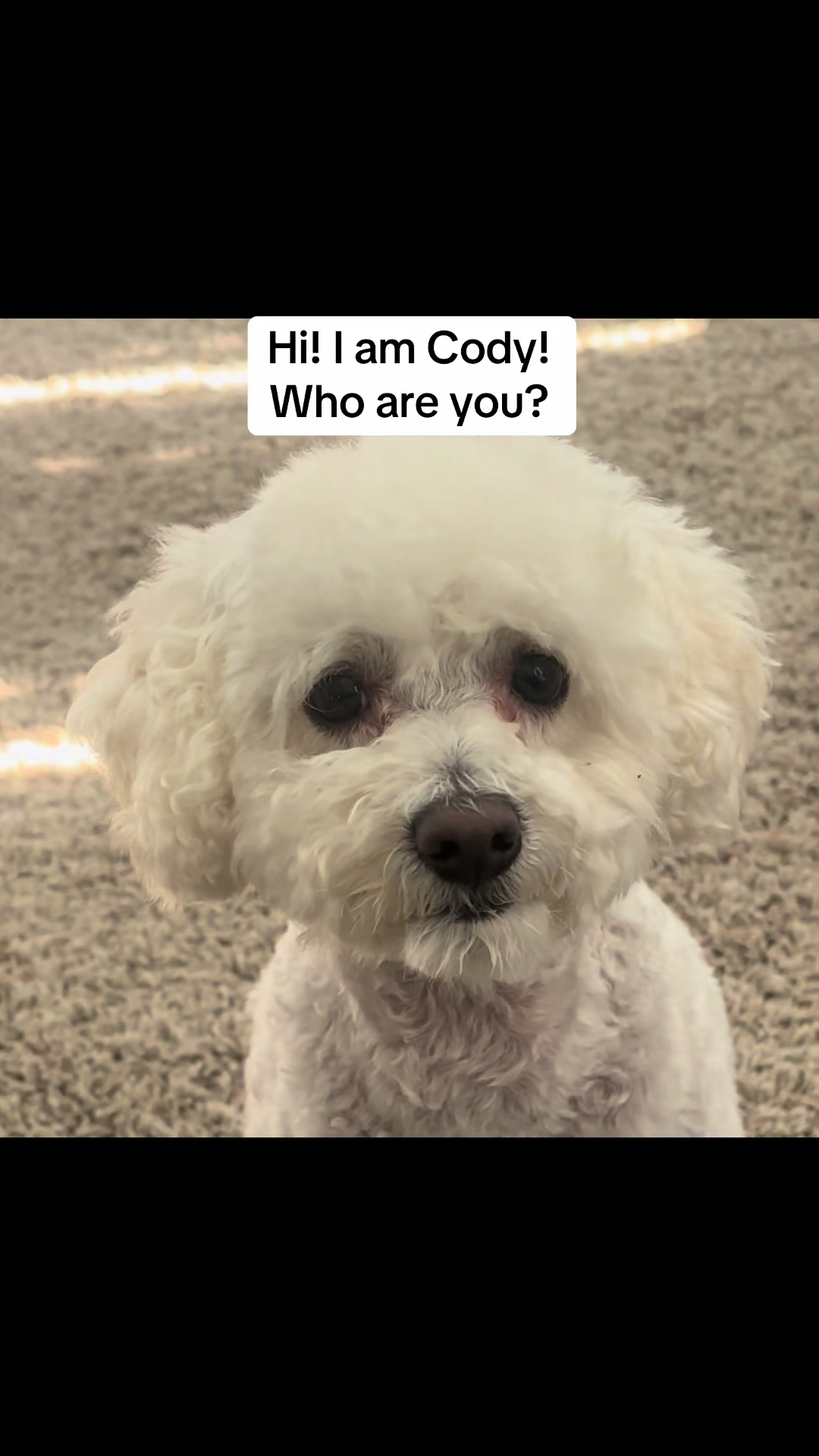@Coast2CoastWCody