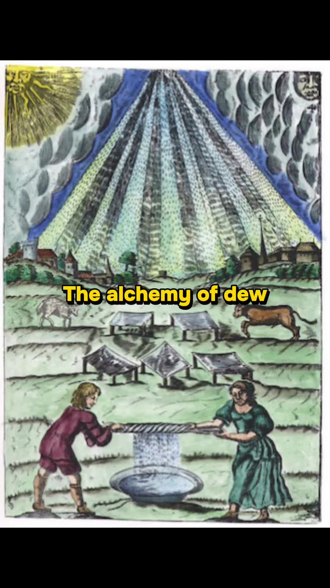 @Merlyn The Dragon Alchemist 🐉