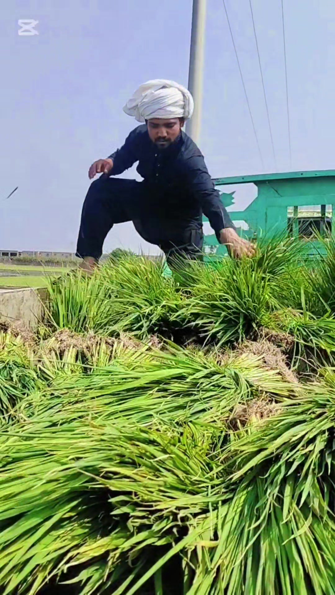 @Mr Chandu Bhai 🦅🤞🦁