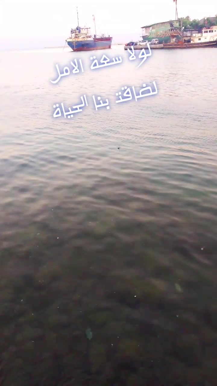 @RiM✨Blşha