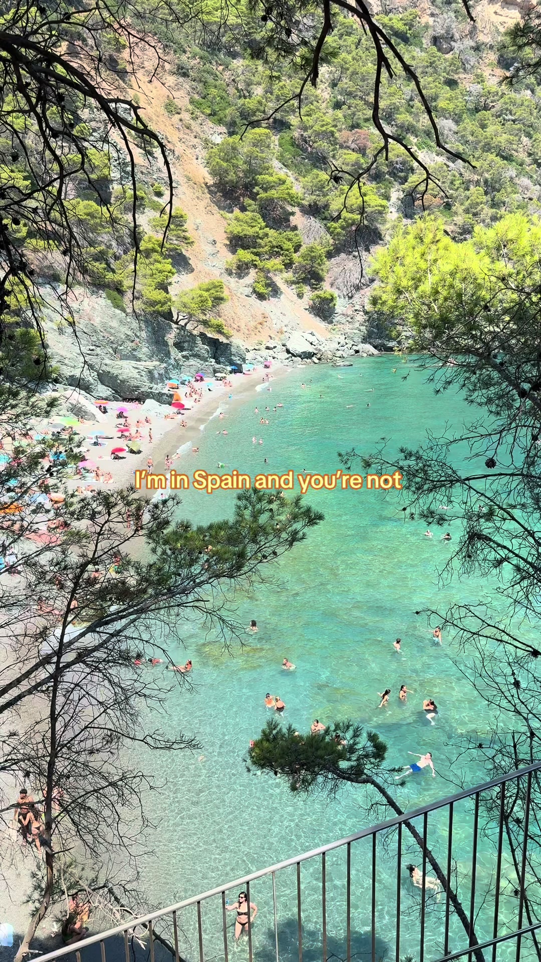 @ᴅɪᴀɴᴀ