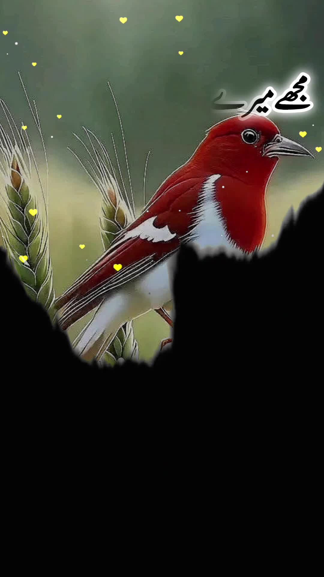 @❤️سزائے عشق😭