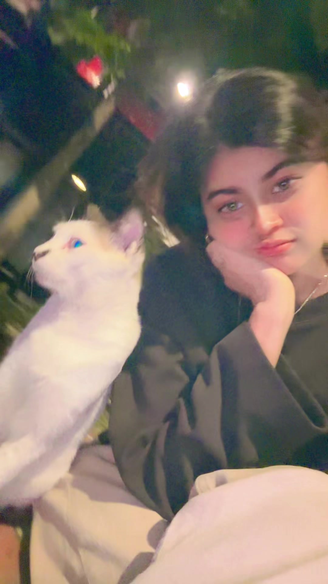 @😶🌫️kitty😽 (っ◔◡◔)っ