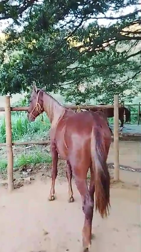@Rancho beira mata🇧🇷🇺🇸