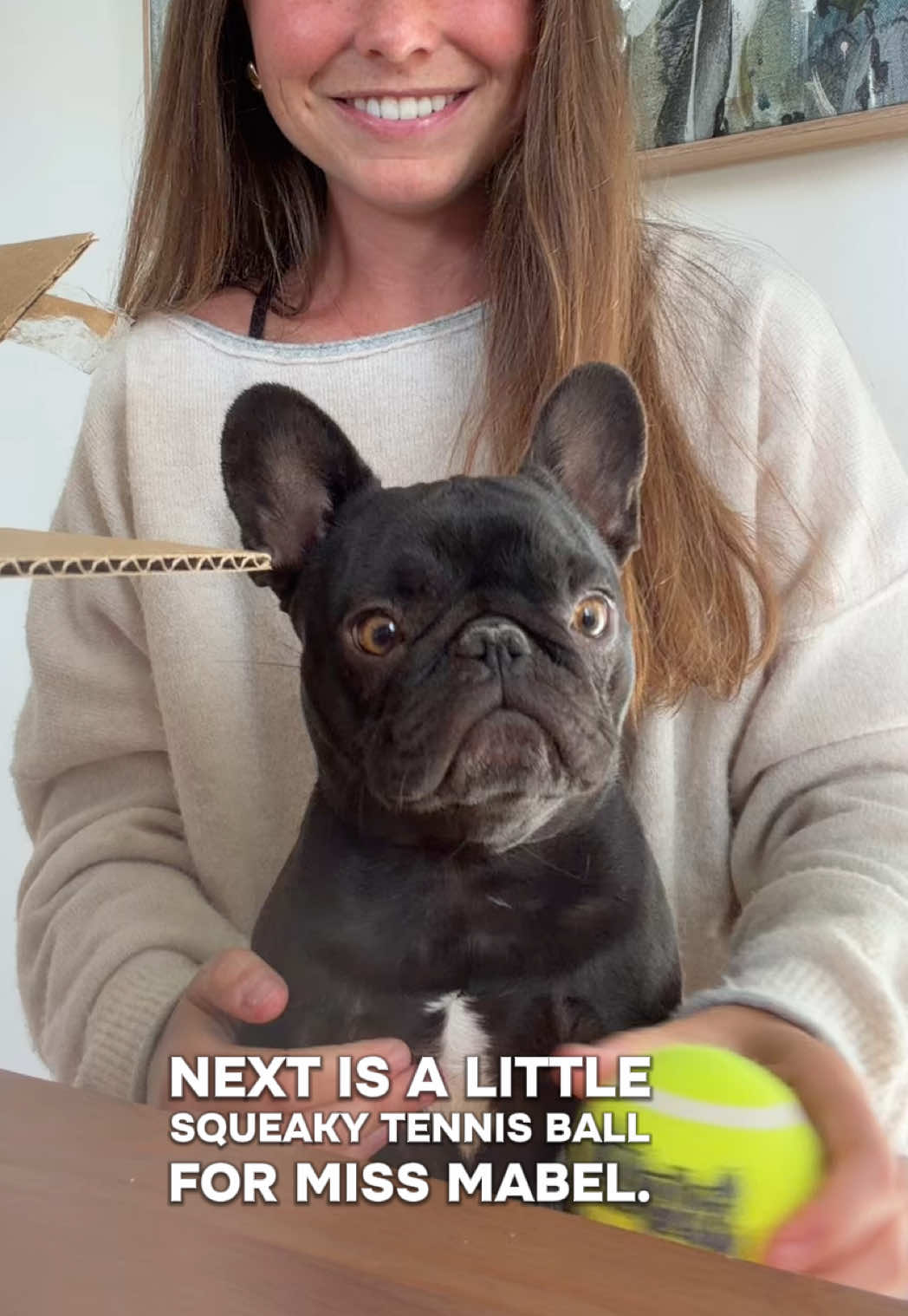 @Mabel the Frenchie