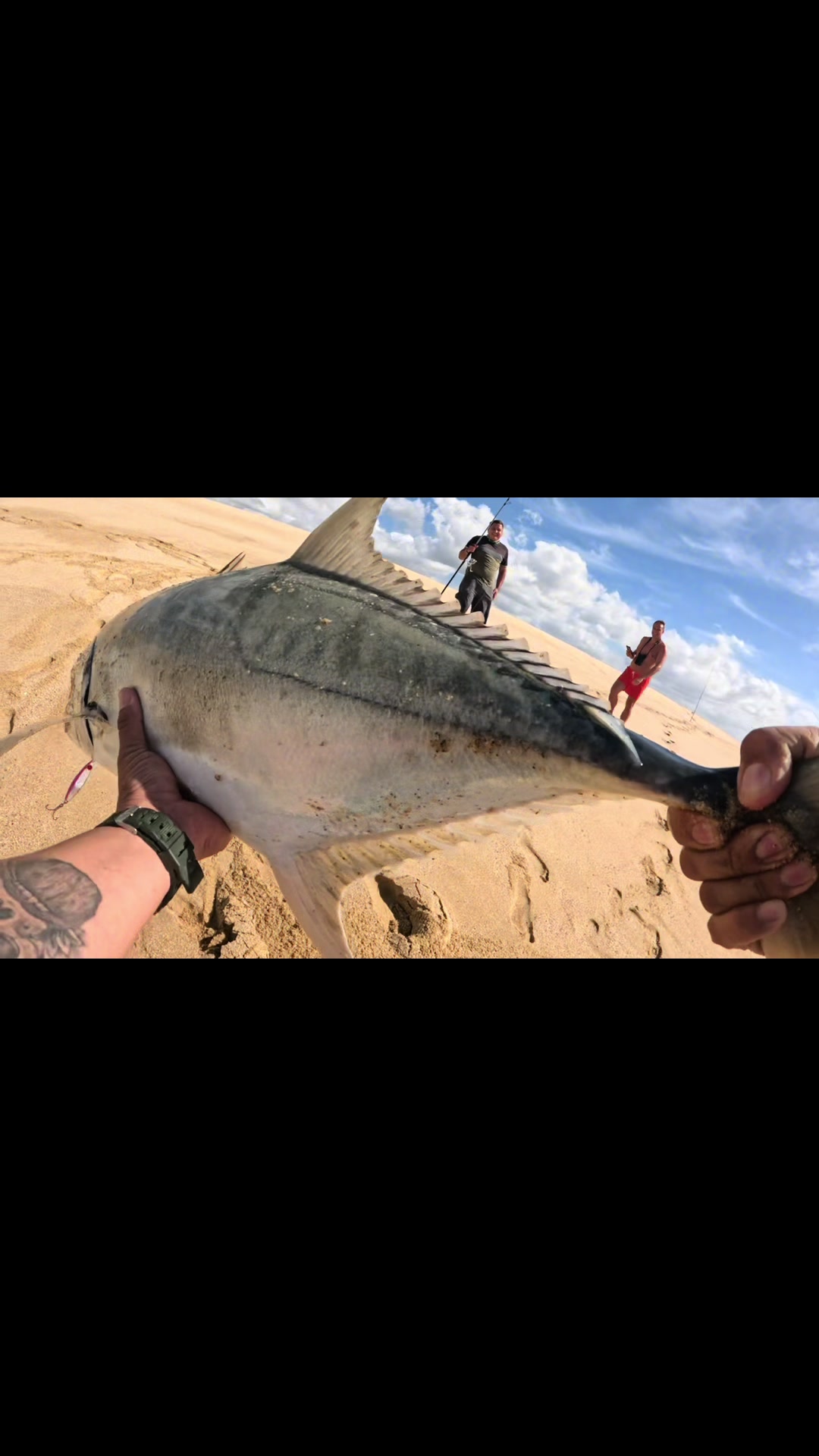 @bukyfish