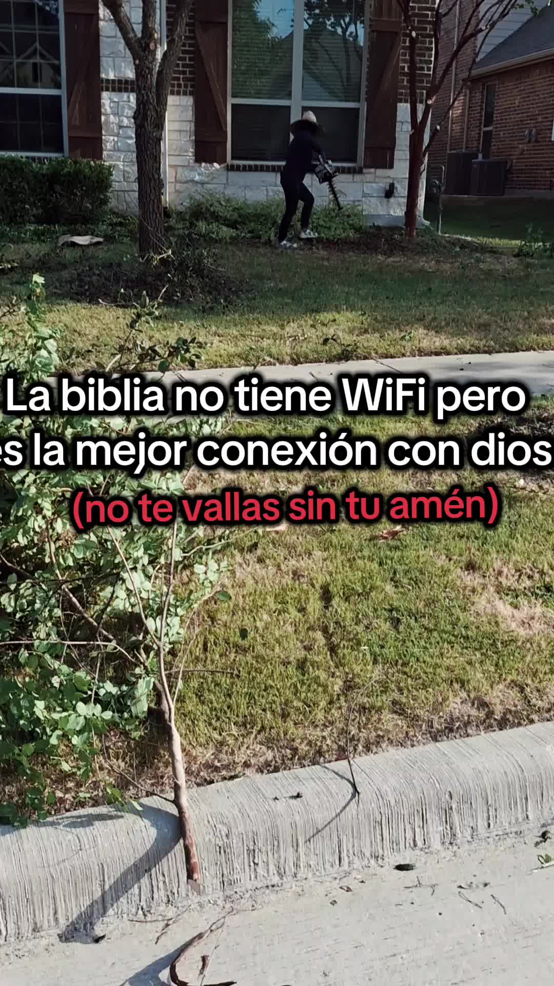 @💯💫🐅el tigre 🥷