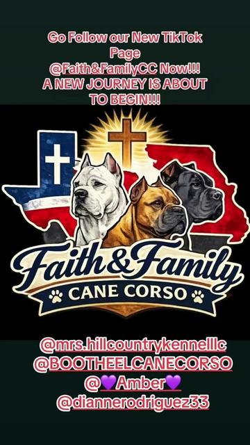 @BOOTHEEL CANE CORSO