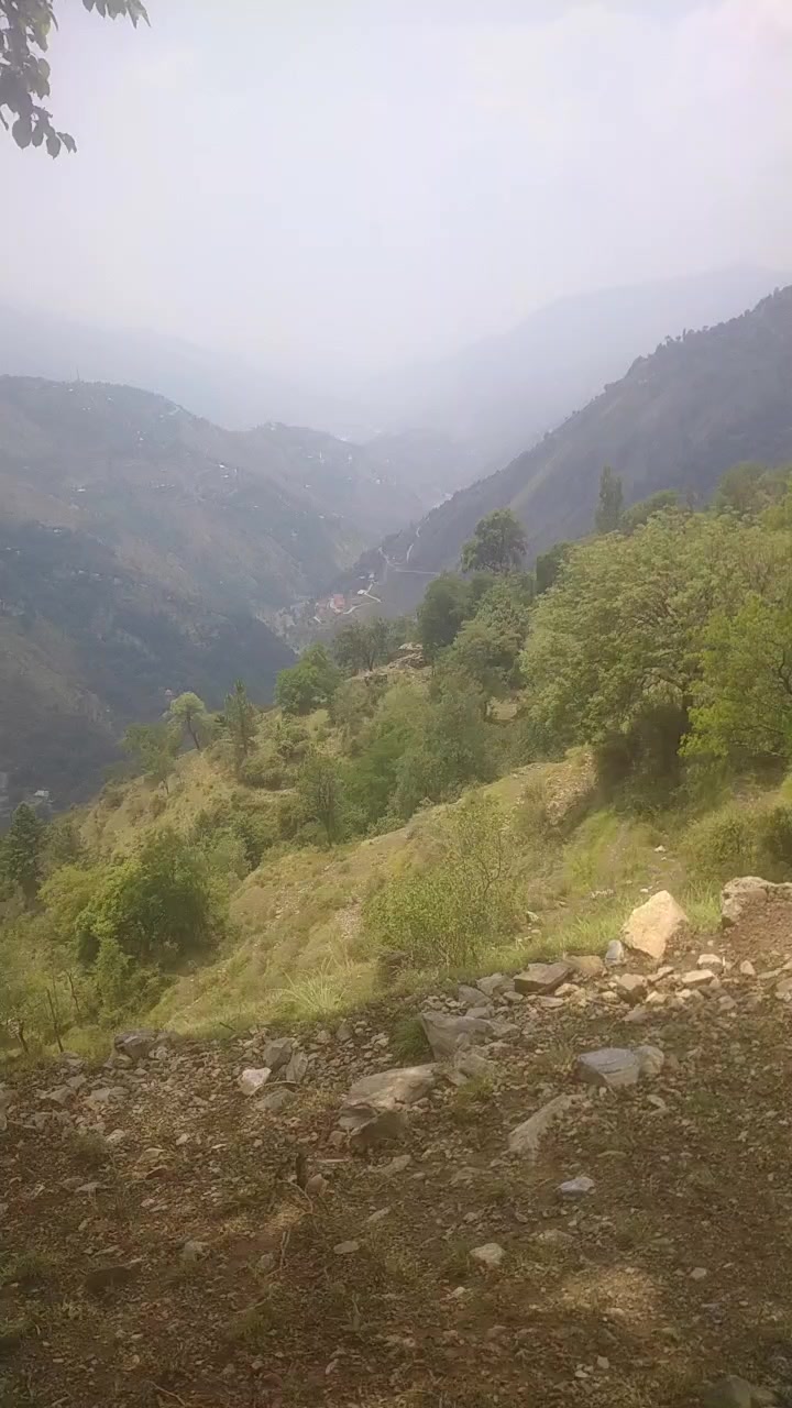 @Raja Reyaz