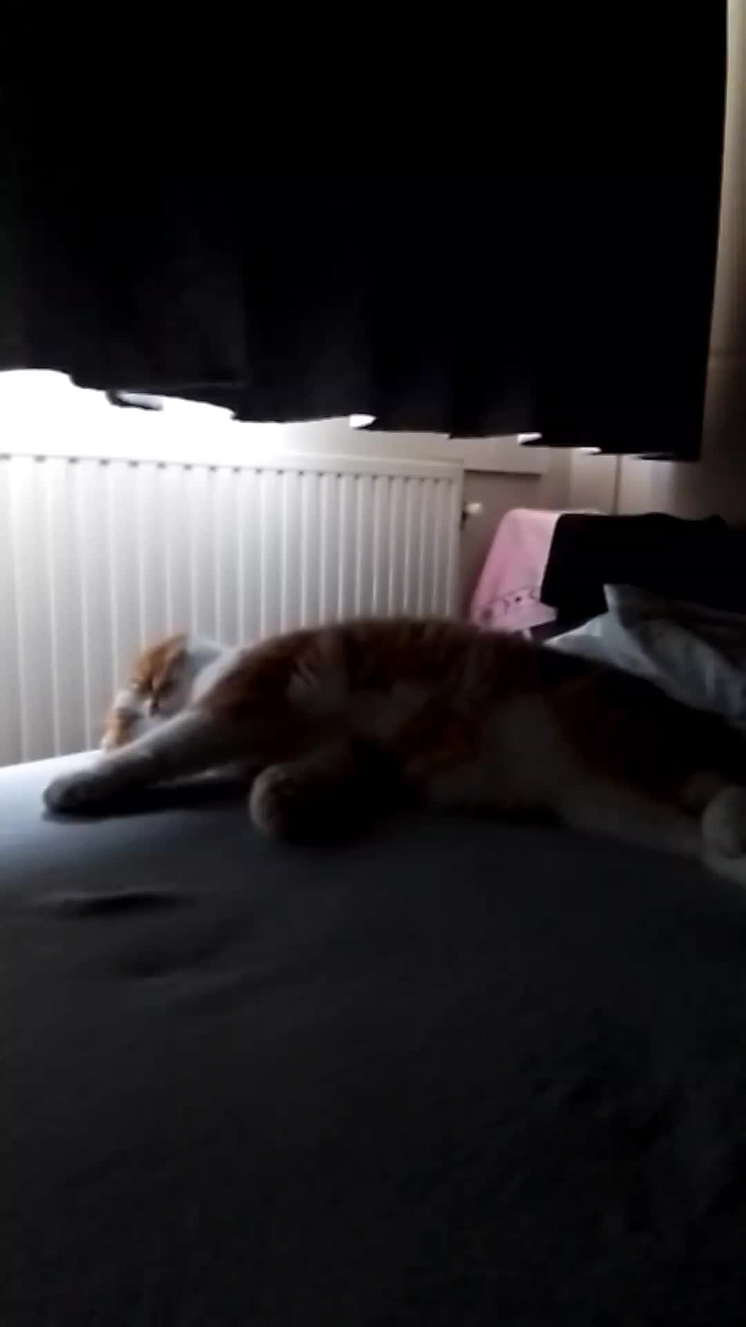 @Anneke & Simba