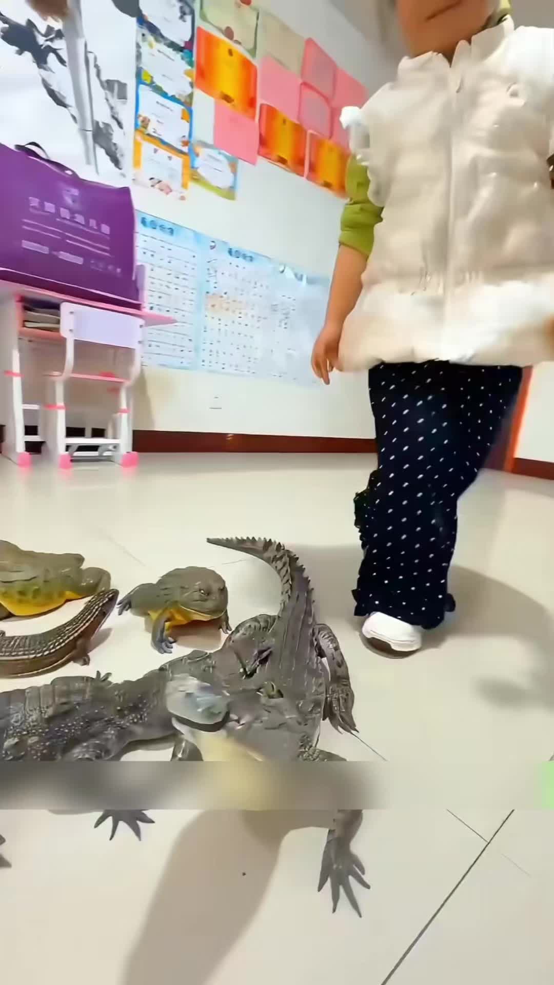 @Zatsugaku Animal