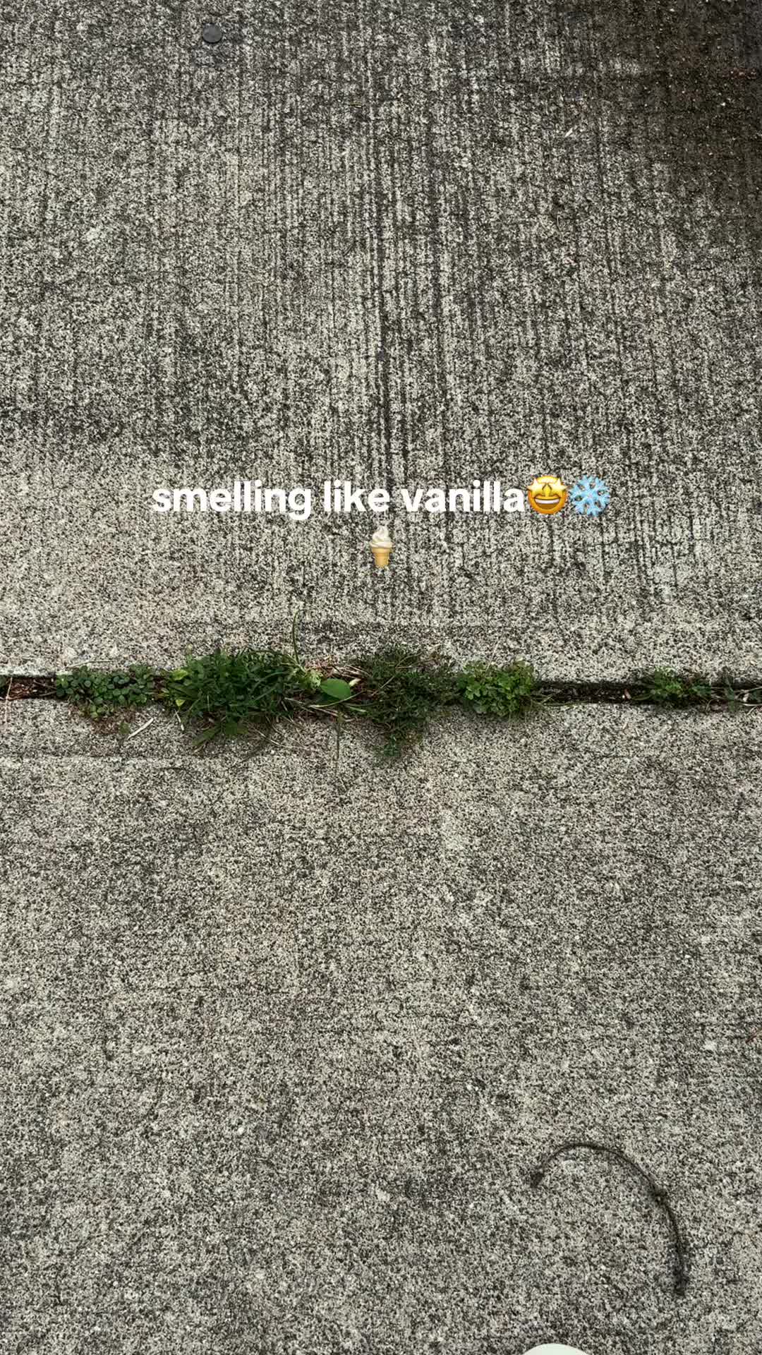 @𝕰𝖓𝖛𝖔𝖞𝖑 ♱