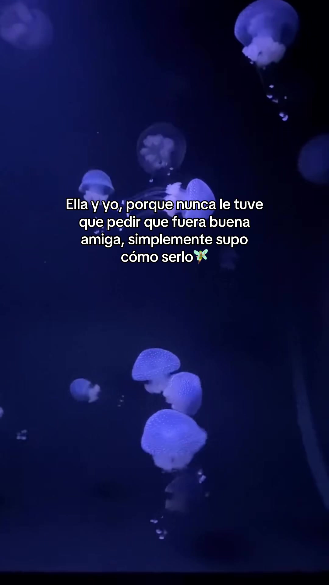 @🧚🏻