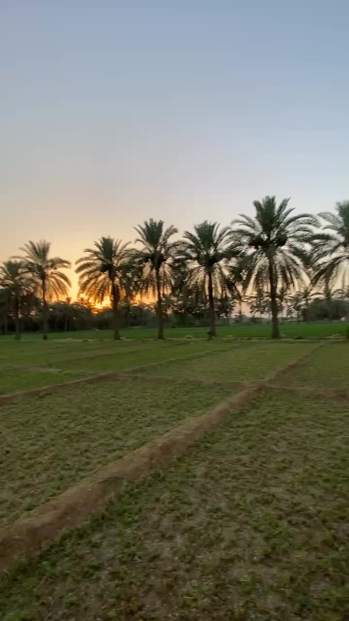 @anaskhalid5991