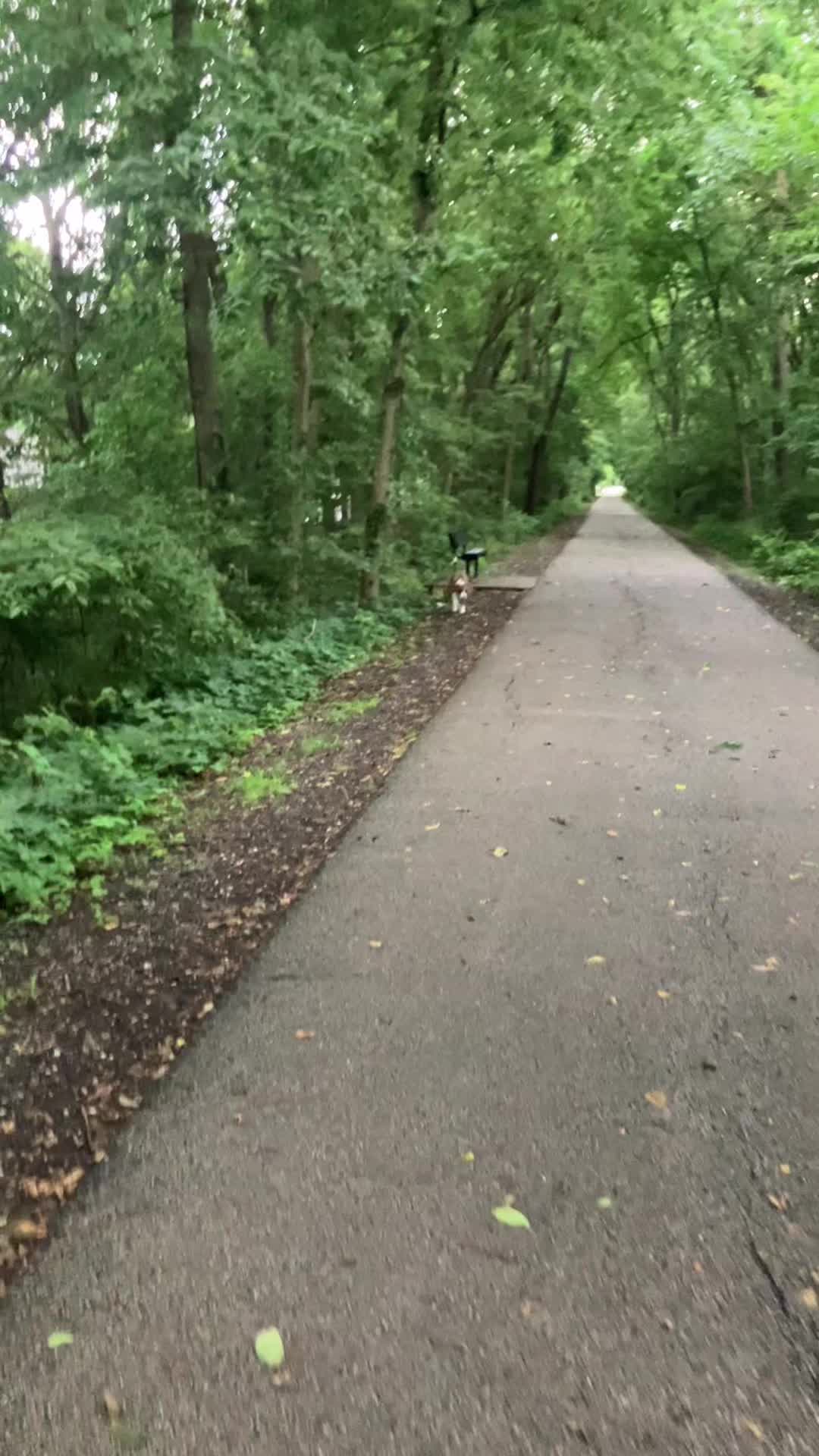@Hikingwithstanley