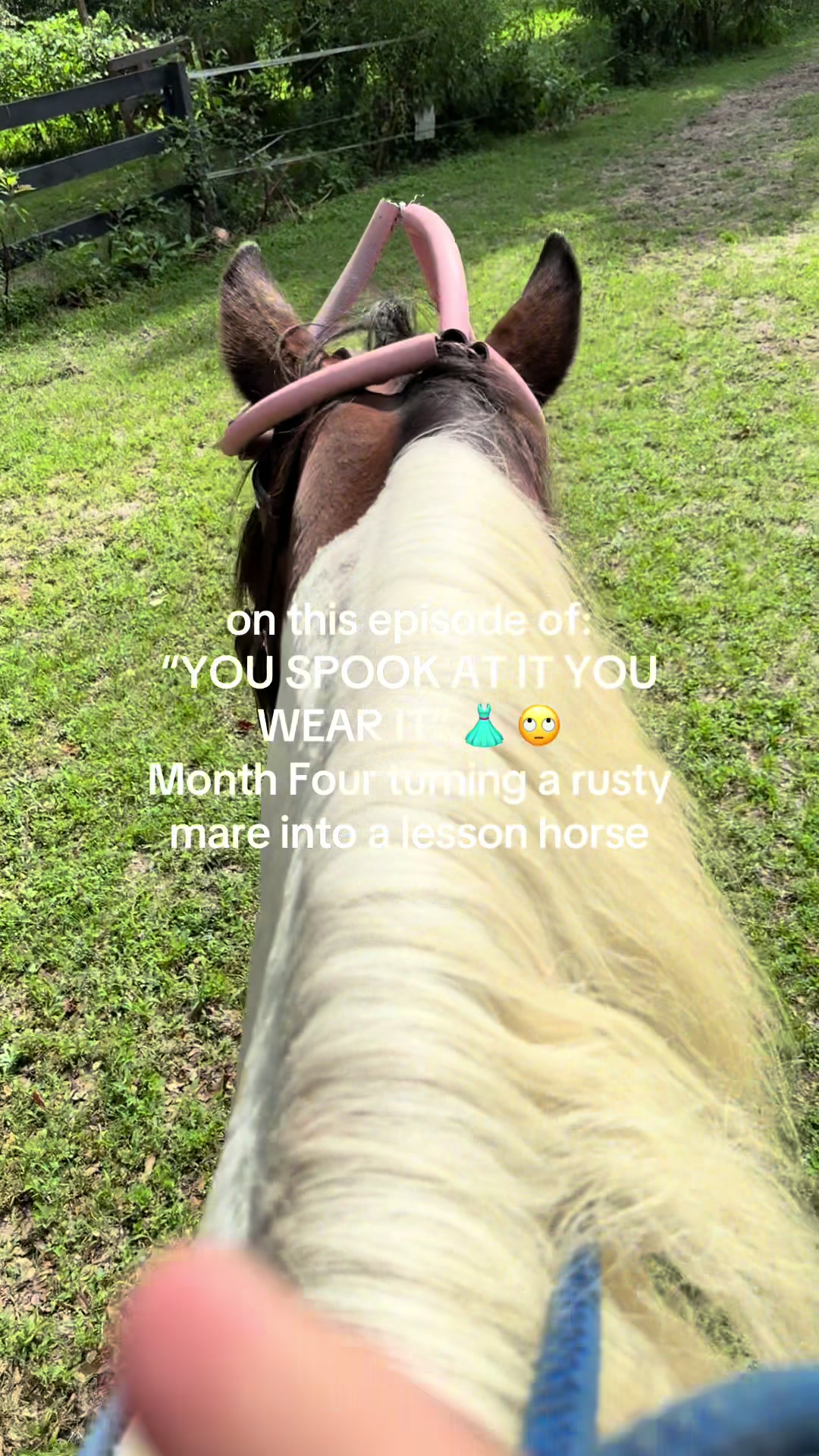 @🐎 Coach CeeJae