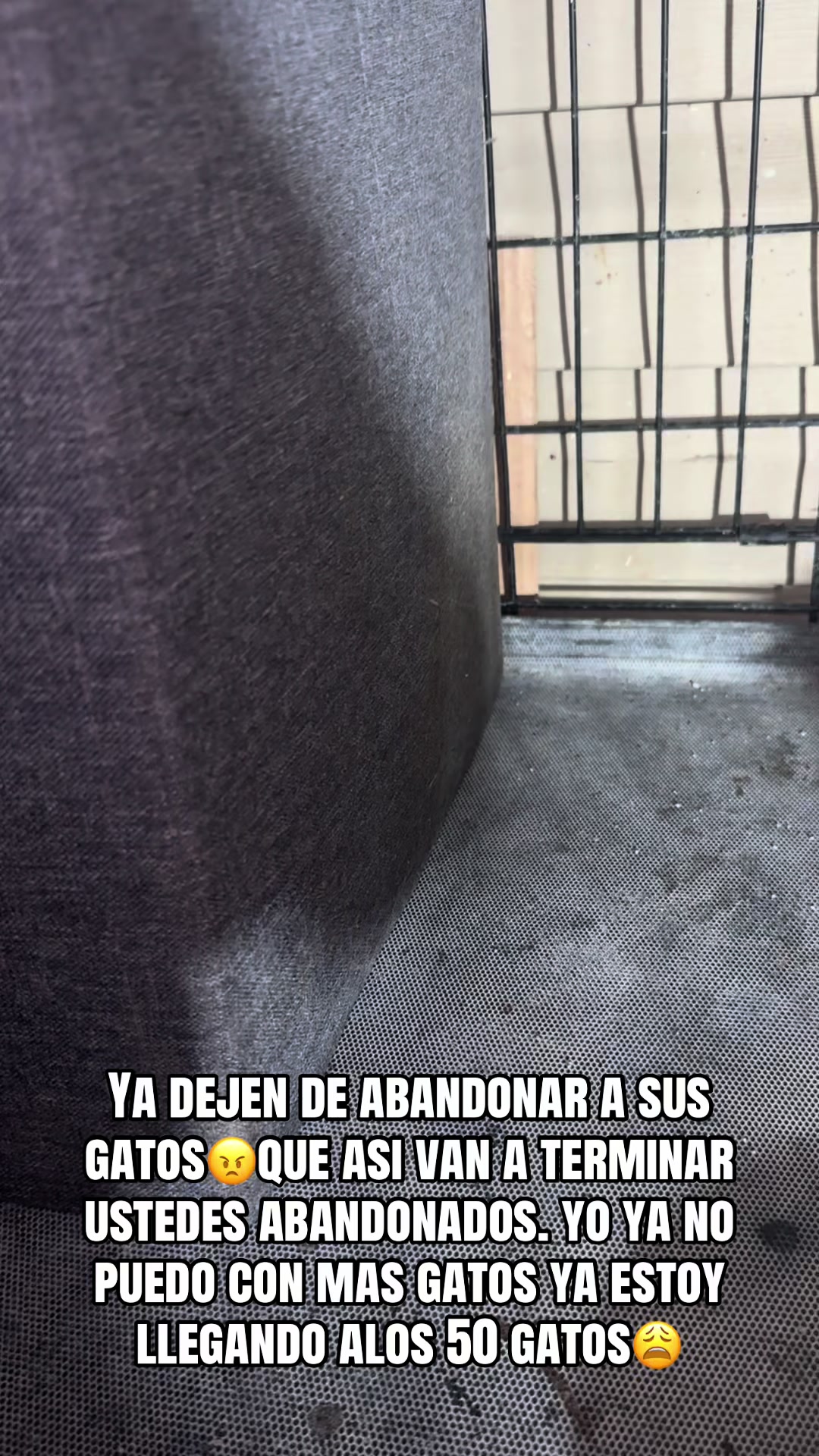 @rescatados por Chase