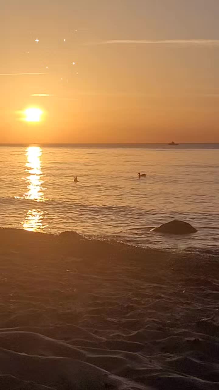 @Bea ☀️