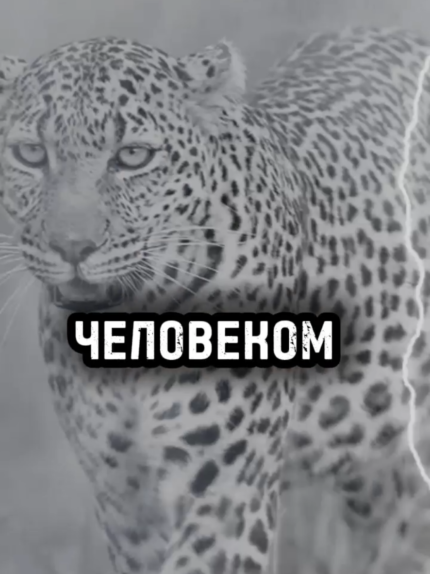 @įѵąղ🦉చìʂҽ✔️