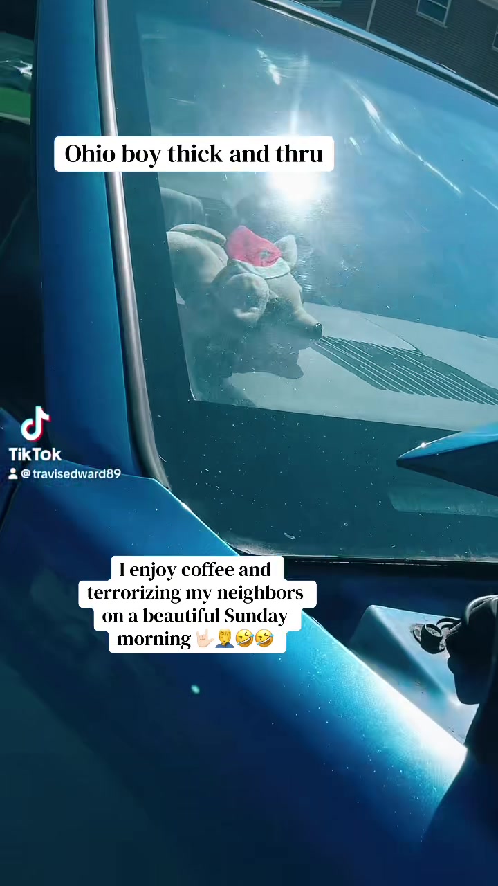 @Vanillagorilla🦍