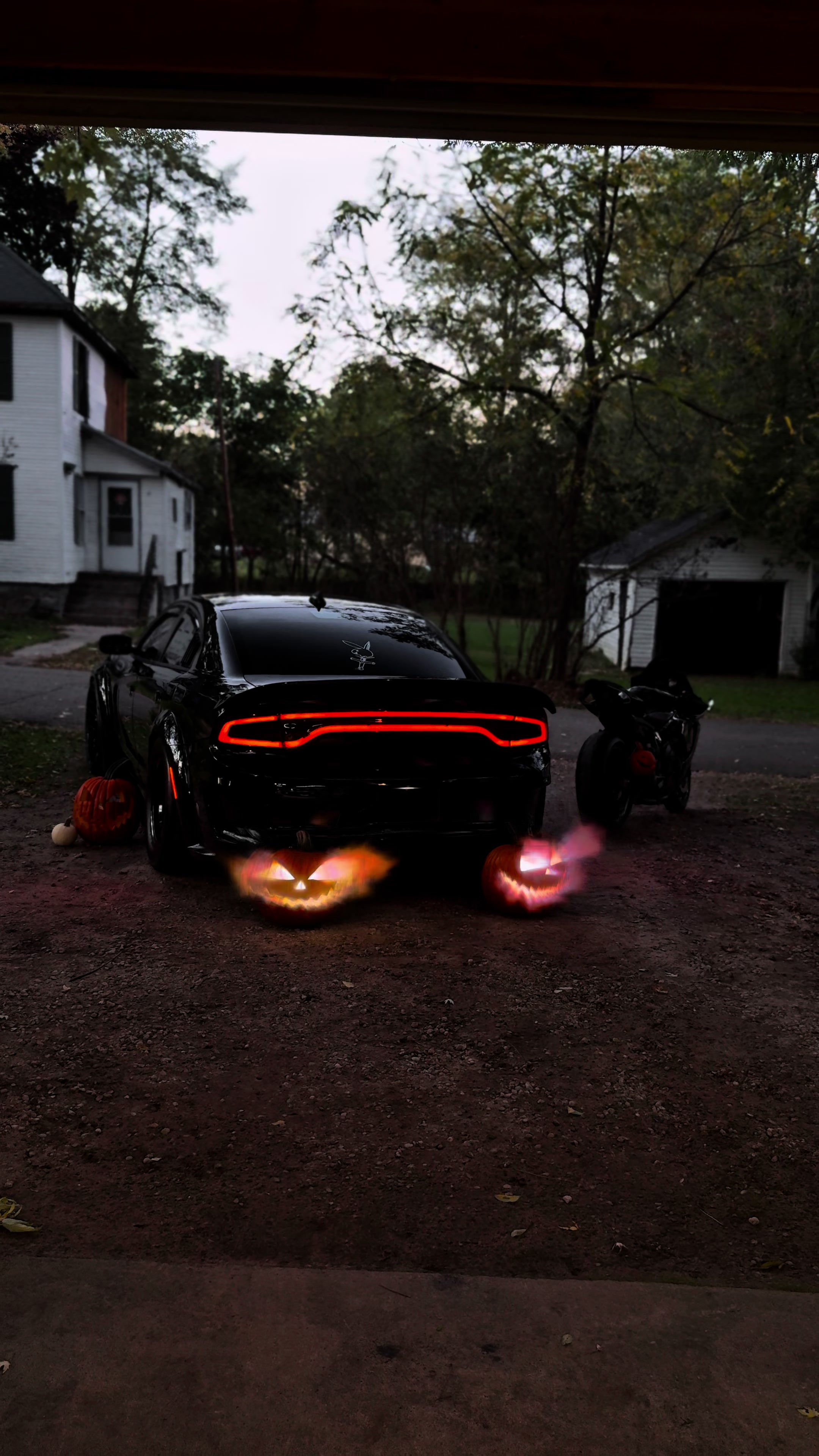 @𝓑𝓾𝓻𝓷𝓼𝓮𝔂