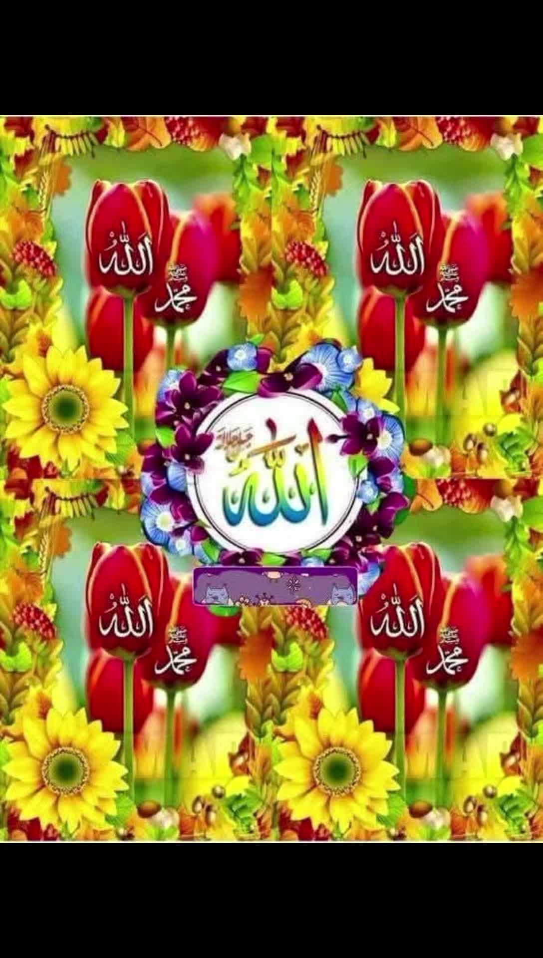 @PK-SAEED-YT