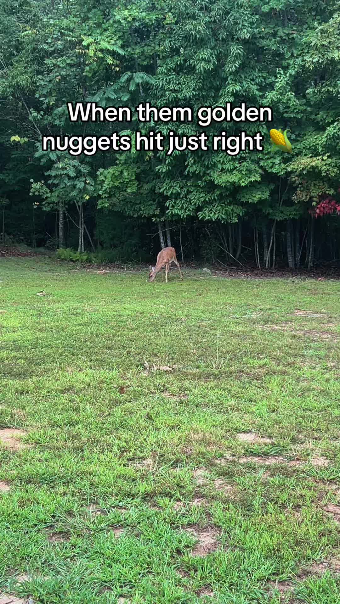 @Kountrywarrior