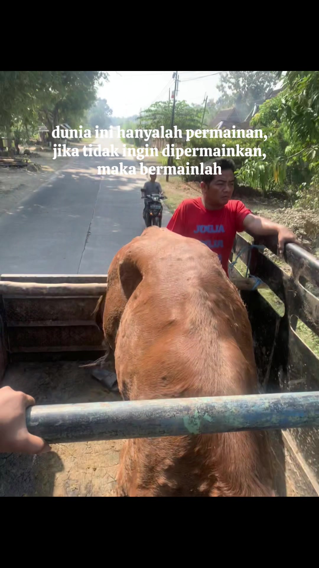 @нєявαηтα