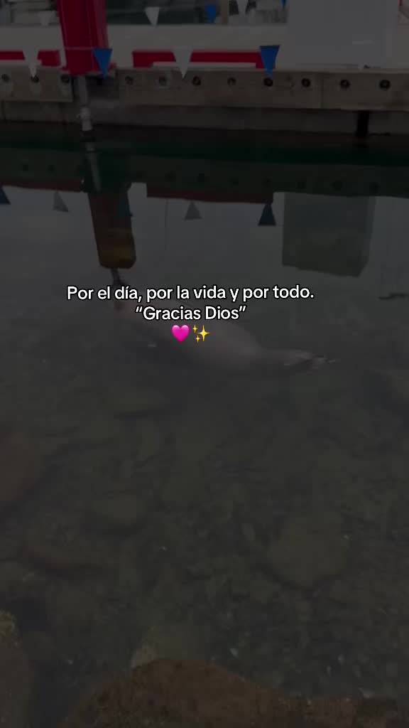 @Textos bíblicos