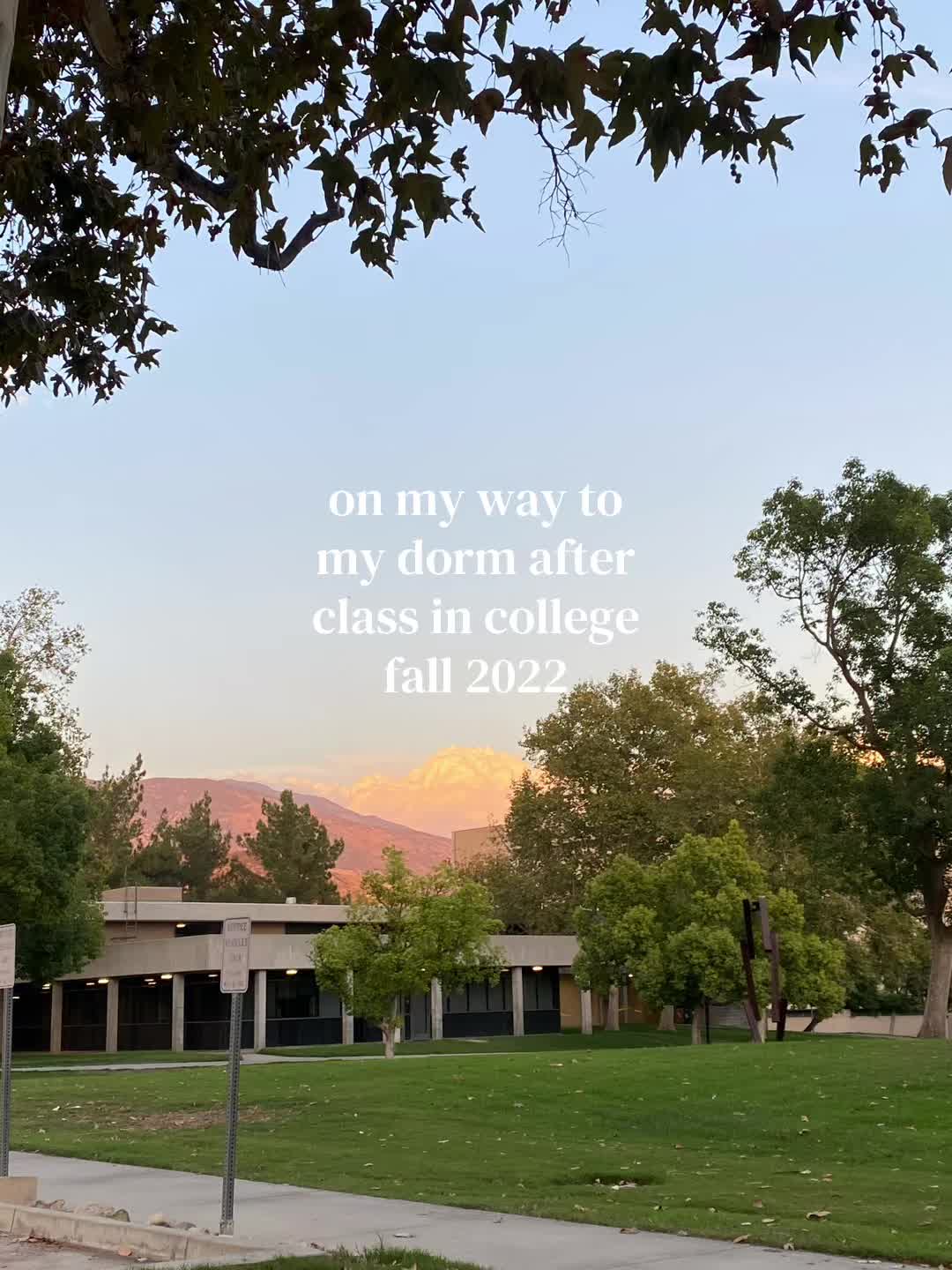 @miranda ✭