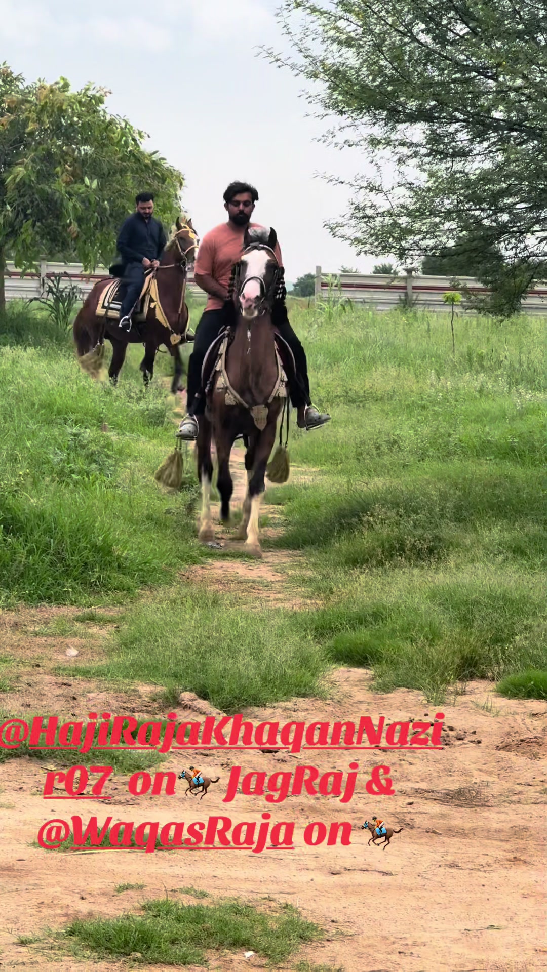 @Raja Farm House and stable