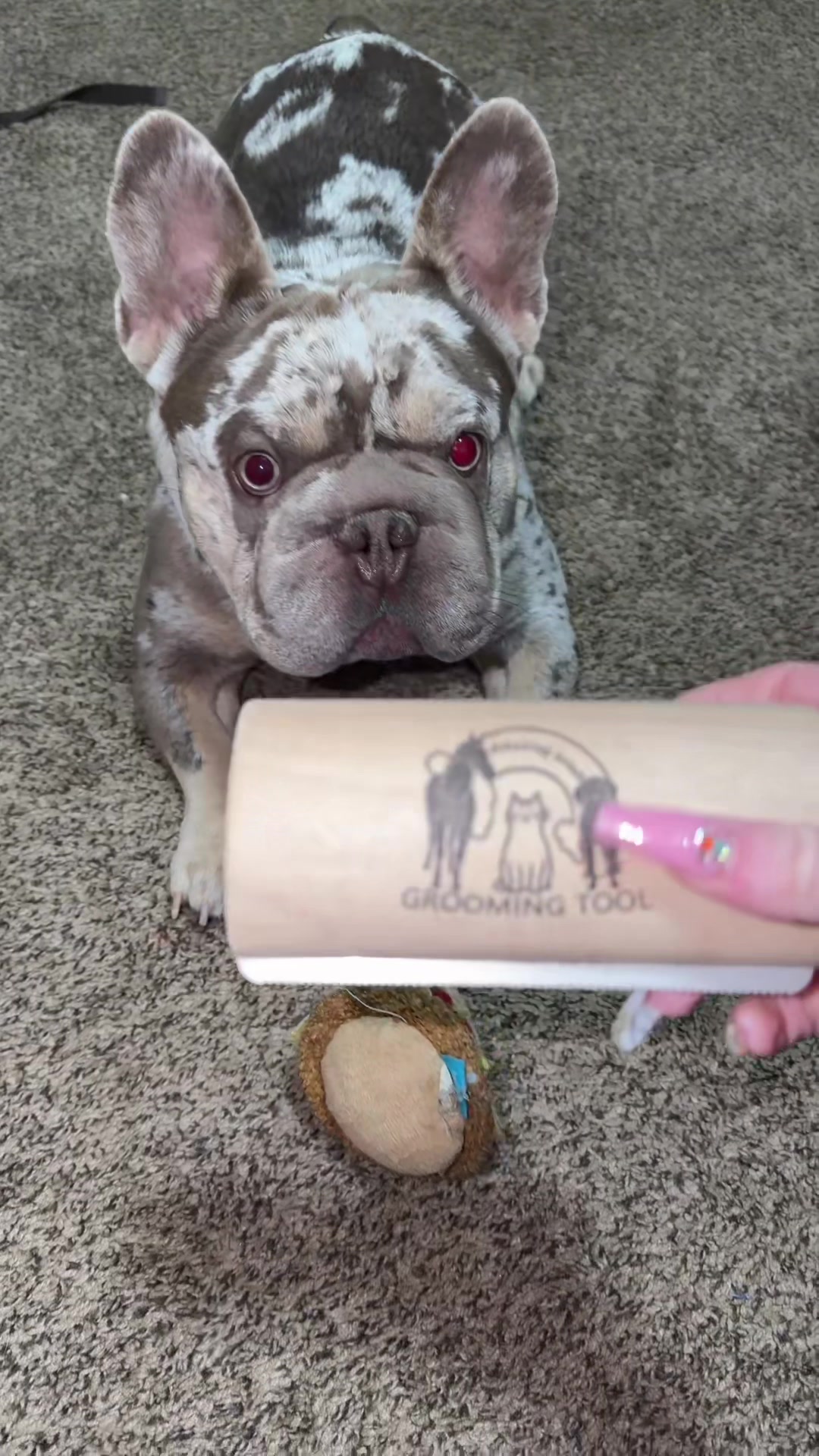 @Bombshelluxe