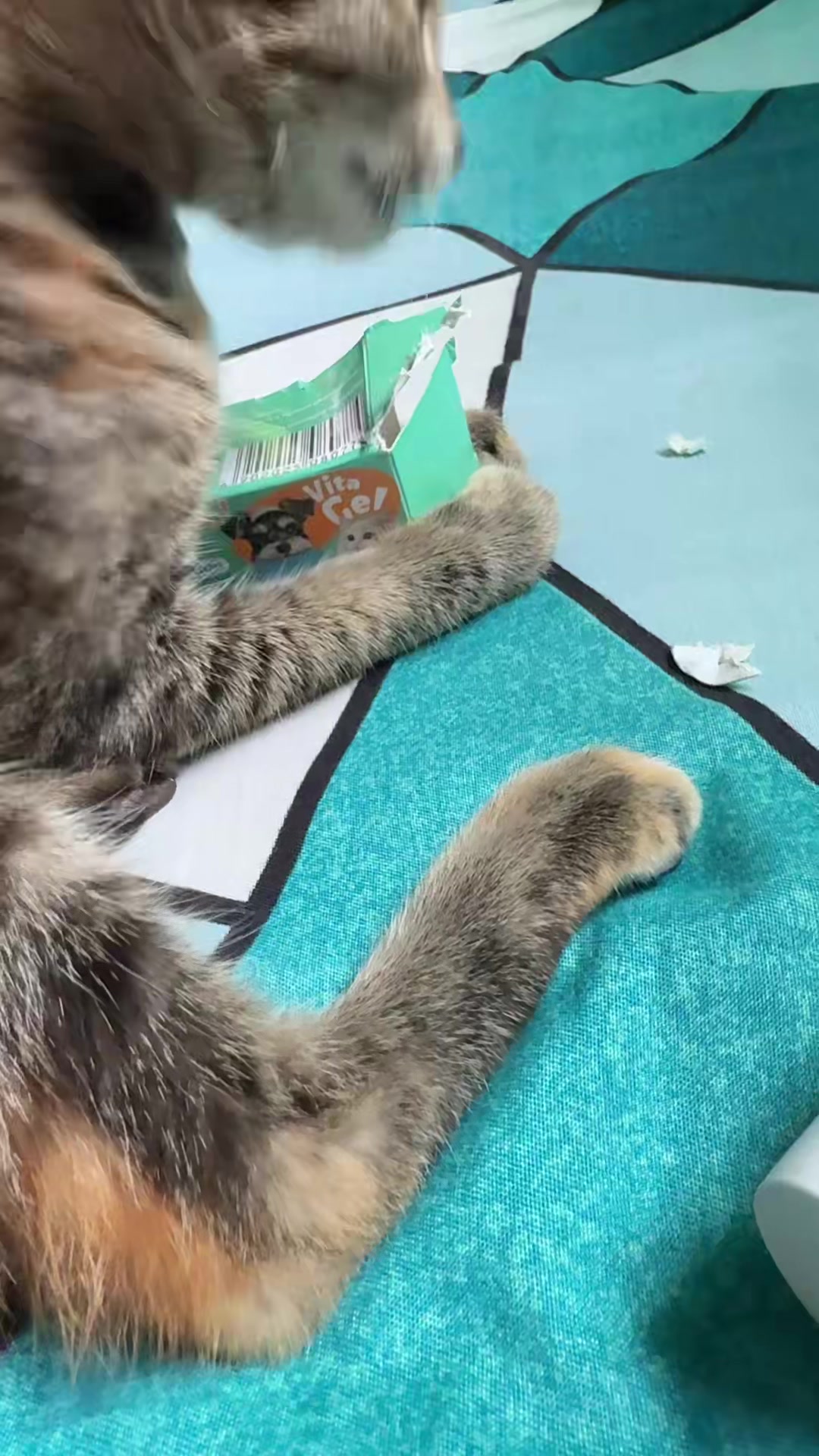 @️ྀིྀི ྀིྀི :)