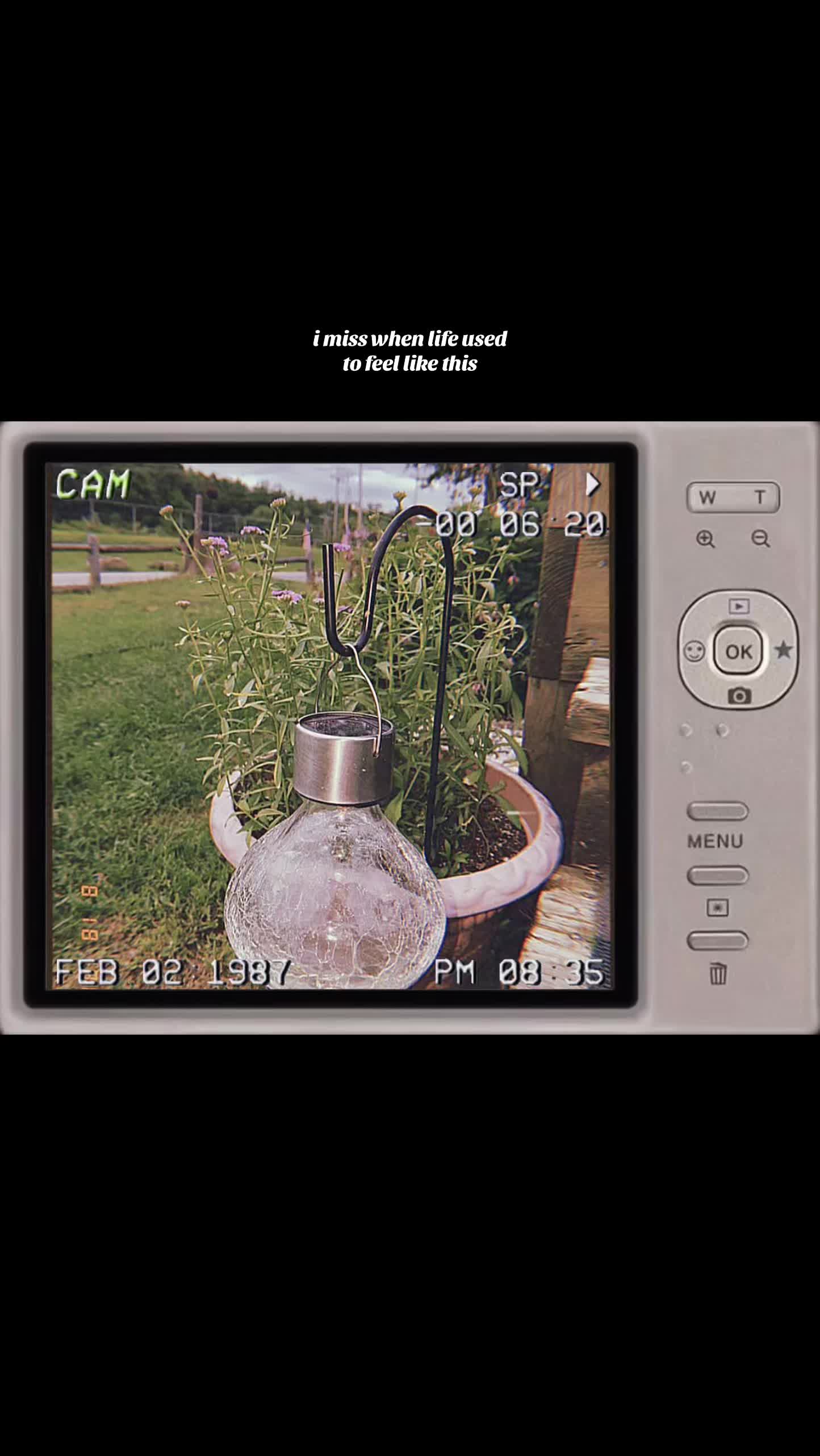 @shia⍤