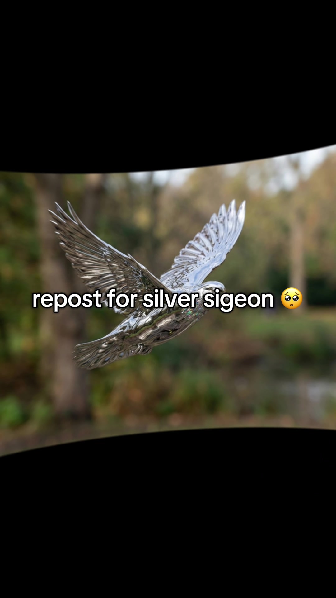 @Silver Sigeon